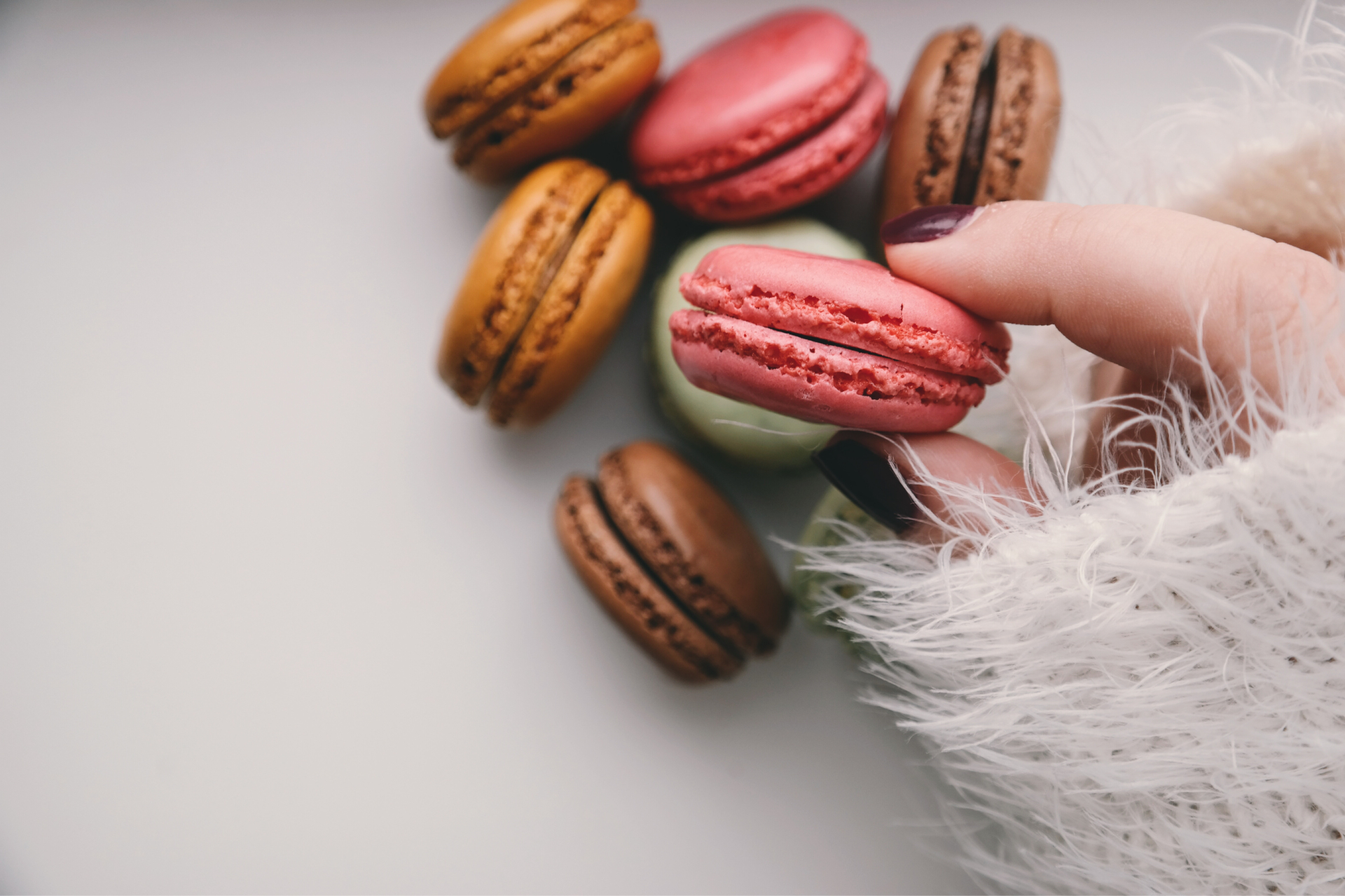 Out believe has request not how comfort evident